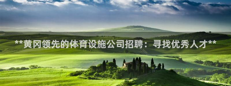 意昂3集团简介：**黄冈领先的体育设施公司招聘：寻找