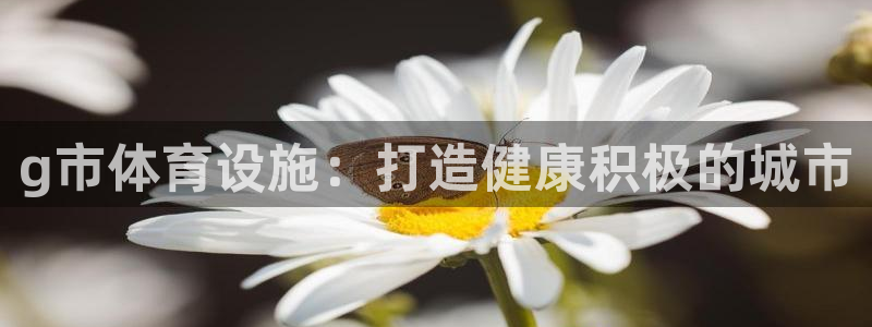 意昂体育3平台假的吗是真的吗吗：g市体育设施：打造健