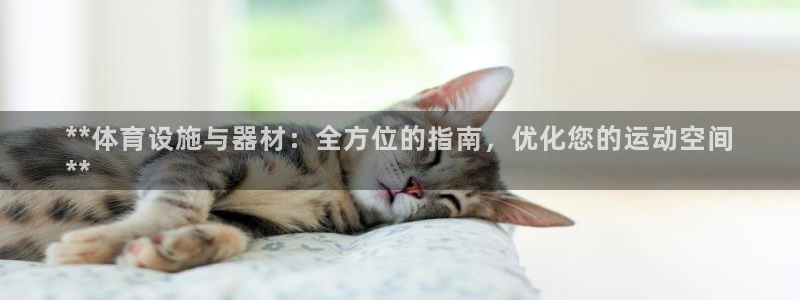 意昂3集团官网首页网址：**体育设施与器材：全方位的