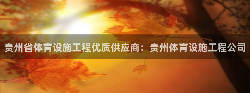意昂3娱乐：贵州省体育设施工程优质供应商：贵州体育设