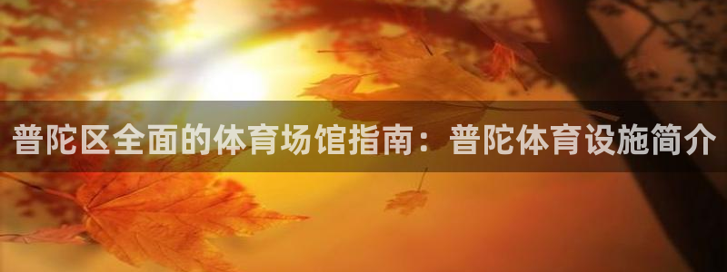 意昂体育3平台注册流程图：普陀区全面的体育场馆指南：