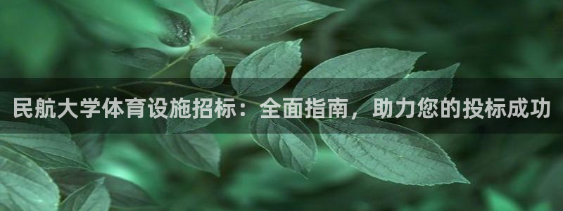 意昂体育3招商电话地址：民航大学体育设施招标：全面指