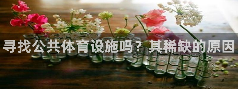 意昂体育3平台注册流程图：寻找公共体育设施吗？其稀缺
