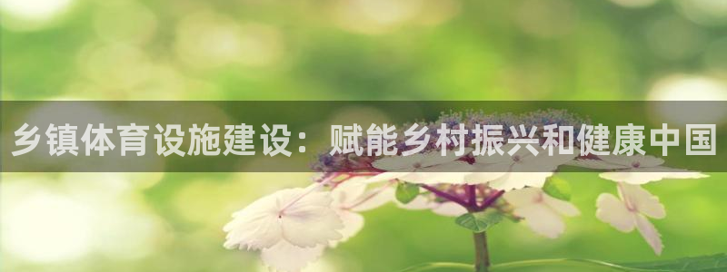 意昂平台体育：乡镇体育设施建设：赋能乡村振兴和健康中