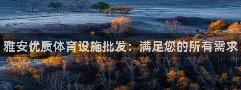 意昂3娱乐首页官网下载：雅安优质体育设施批发：满足您