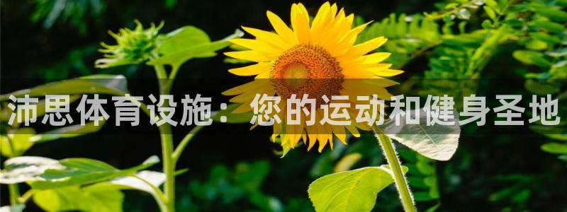 意昂3娱乐下载：沛思体育设施：您的运动和健身圣地