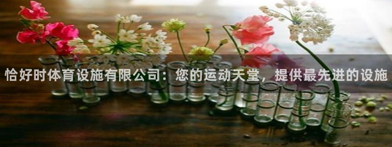 意昂体育3招商电话地址查询：恰好时体育设施有限公司：
