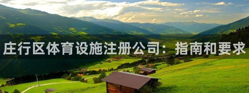 意昂体育3招商电话是多少：庄行区体育设施注册公司：指