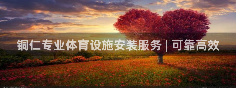 意昂3娱乐网站：铜仁专业体育设施安装服务 | 可靠高