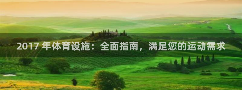意昂3娱乐网站：2017 年体育设施：全面指南，满足