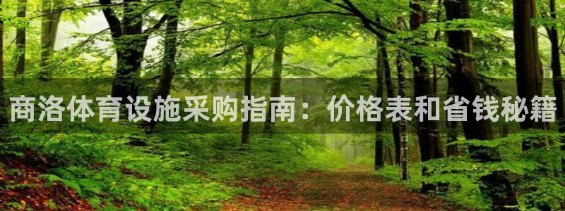 意昂体育3联系电话：商洛体育设施采购指南：价格表和省