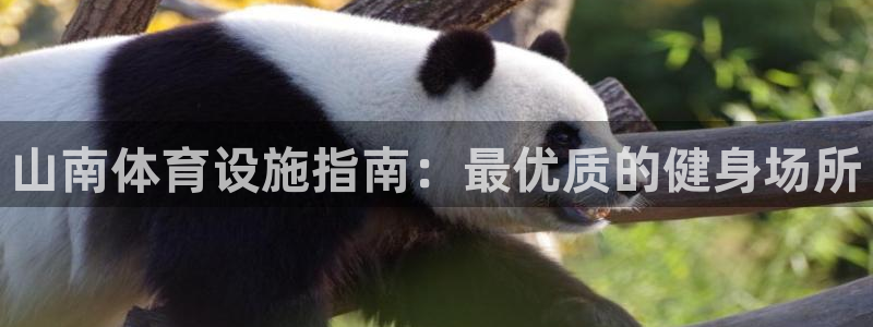 意昂3官网：山南体育设施指南：最优质的健身场所
