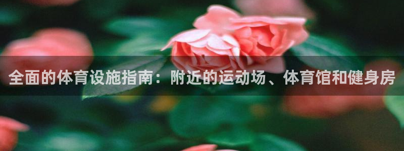 意昂3娱乐下载：全面的体育设施指南：附近的运动场、体