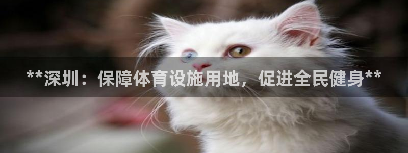 意昂3娱乐下载：**深圳：保障体育设施用地，促进全民