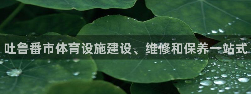 意昂3五金厂：吐鲁番市体育设施建设、维修和保养一站式