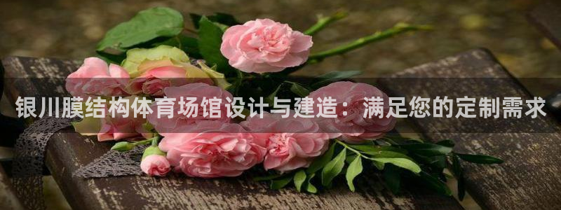 意昂体育3招商电话地址查询：银川膜结构体育场馆设计与