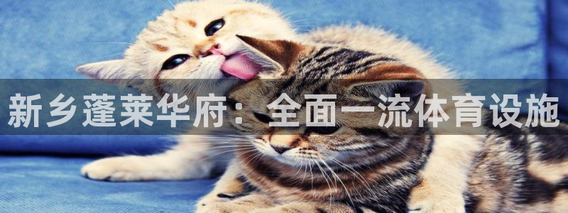 德国意昂3集团：新乡蓬莱华府：全面一流体育设施