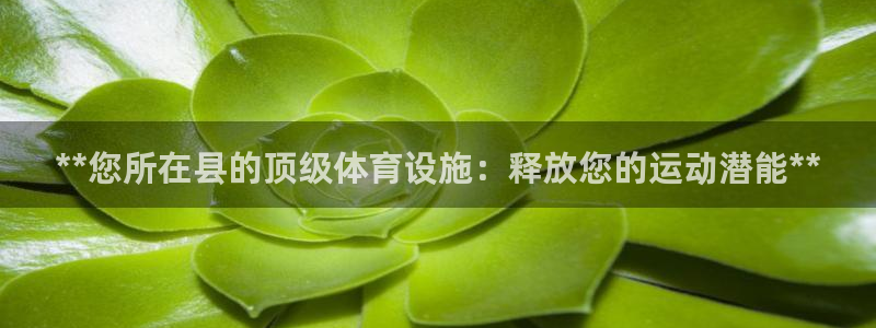 意昂平台体育：**您所在县的顶级体育设施：释放您的运