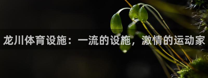 意昂体育3平台注册要钱吗是真的吗：龙川体育设施：一流