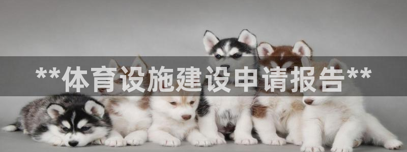 意昂3科技：**体育设施建设申请报告**
