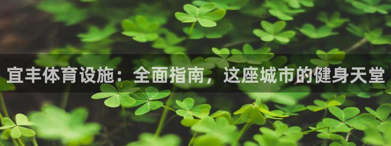 意昂3娱乐40996：宜丰体育设施：全面指南，这座城