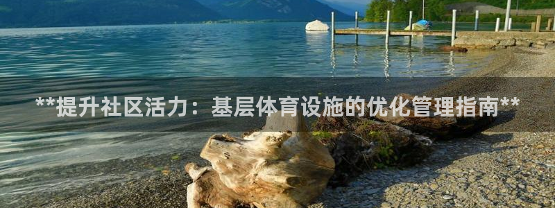 意昂3官网：**提升社区活力：基层体育设施的优化管理