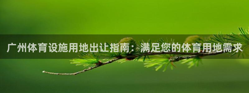 意昂3集团简介：广州体育设施用地出让指南：满足您的体