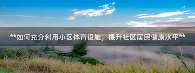 意昂3集团：**如何充分利用小区体育设施，提升社区居