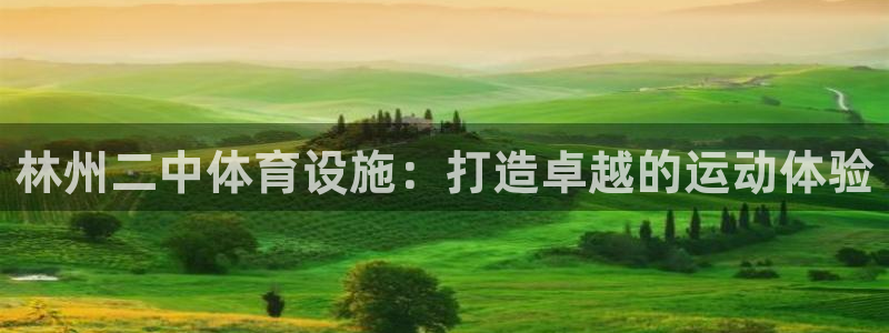 意昂3集团E.ON：林州二中体育设施：打造卓越的运动