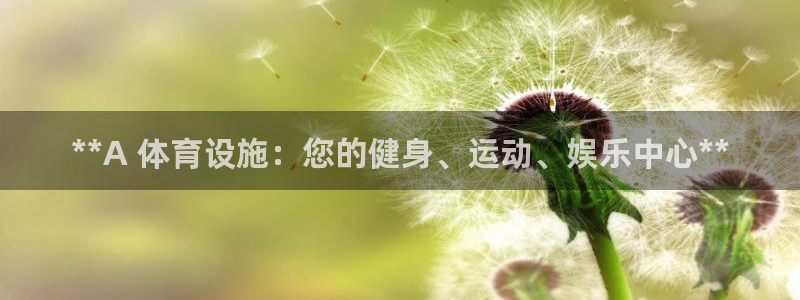 德国意昂3集团：**A 体育设施：您的健身、运动、娱