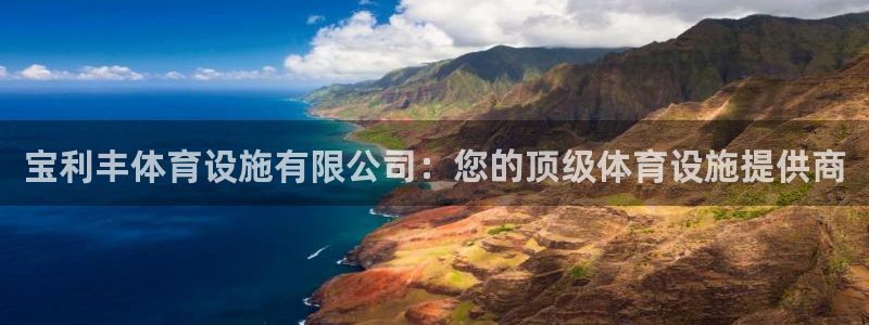 意昂体育3招商电话地址：宝利丰体育设施有限公司：您的