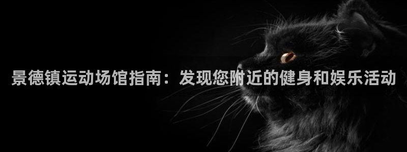 德国意昂3集团：景德镇运动场馆指南：发现您附近的健身
