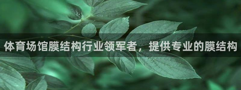 意昂3娱乐下载：体育场馆膜结构行业领军者，提供专业的