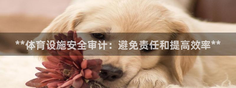 意昂平台体育：**体育设施安全审计：避免责任和提高效