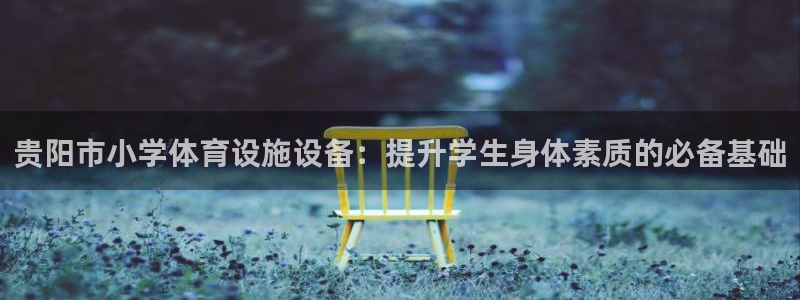 意昂体育3开户：贵阳市小学体育设施设备：提升学生身体