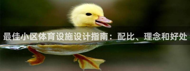 意昂体育3招商电话是多少啊：最佳小区体育设施设计指南