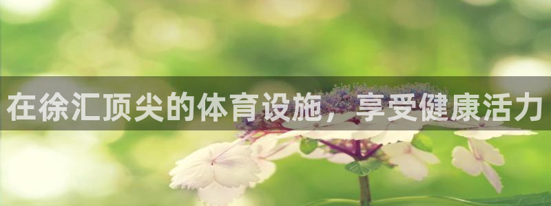 意昂体育3平台是正规平台吗：在徐汇顶尖的体育设施，享