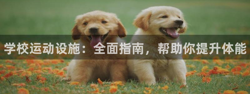 意昂体育3平台是正规平台吗知乎：学校运动设施：全面指