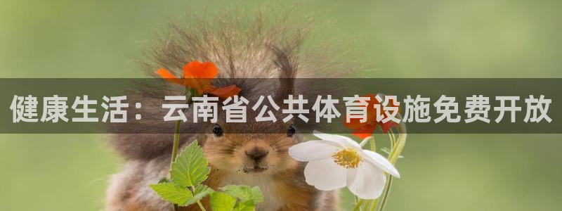 意昂体育3：健康生活：云南省公共体育设施免费开放