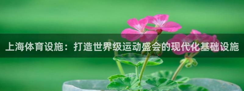 意昂3科技：上海体育设施：打造世界级运动盛会的现代化