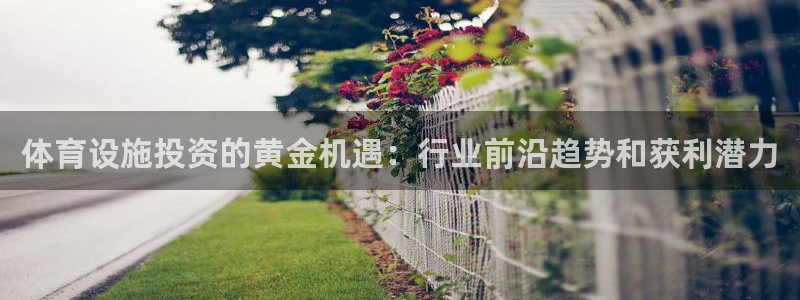 意昂体育3招商：体育设施投资的黄金机遇：行业前沿趋势