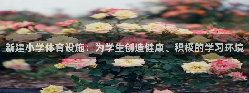 意昂3集团官网首页网址：新建小学体育设施：为学生创造