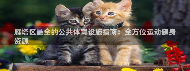意昂体育3招商电话号码是多少：雁塔区最全的公共体育设