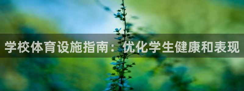 意昂体育3招商电话号码是多少：学校体育设施指南：优化