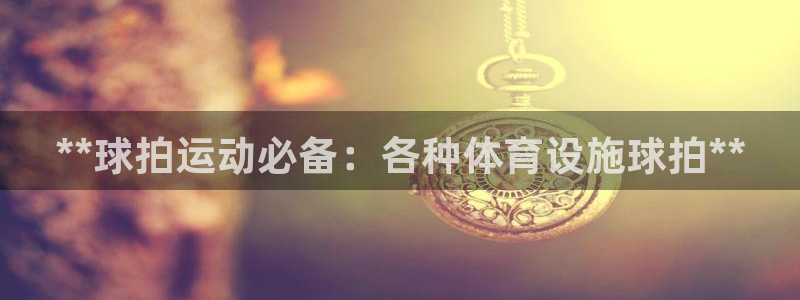 意昂体育3招商电话是多少号码：**球拍运动必备：各种