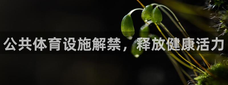 意昂体育3开户：公共体育设施解禁，释放健康活力