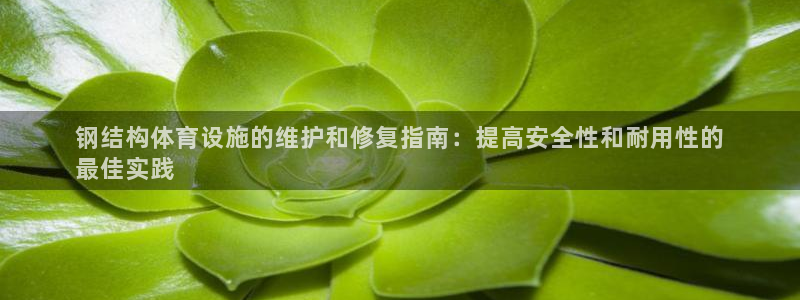 意昂3娱乐平台：钢结构体育设施的维护和修复指南：提高