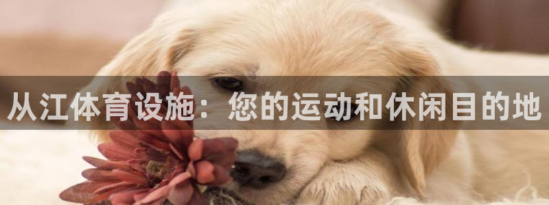 意昂体育3是干嘛的公司：从江体育设施：您的运动和休闲