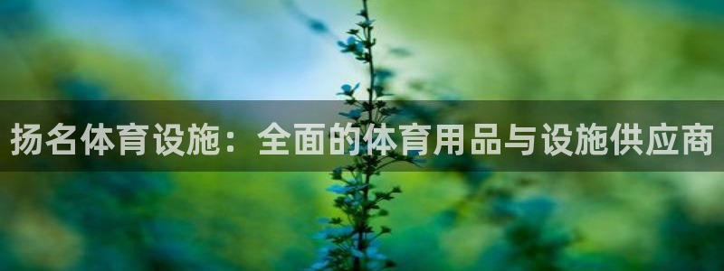 意昂体育3平台是正规平台吗：扬名体育设施：全面的体育