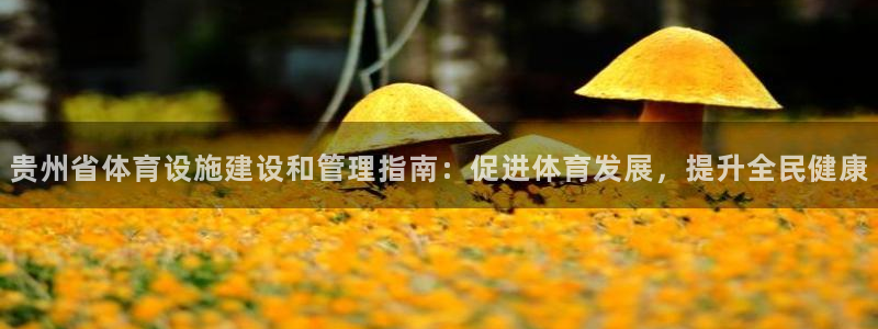 意昂体育3平台注册要钱吗安全吗：贵州省体育设施建设和
